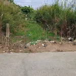 Bán nền thổ cư 5x23m giá 750 triệu tại Thủ Thừa, Tây Ninh - Ảnh thu nhỏ 1