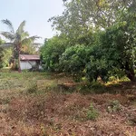 Bán đất 2400m² thổ cư 200m² Bình Thuận, Bình Thạnh - Ảnh thu nhỏ 4