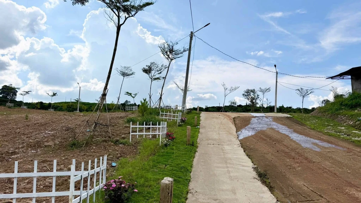 Bán đất 1.000m² giá 550 triệu, sổ riêng tại Đinh Văn, Lâm Hà, Lâm Đồng - Ảnh thu nhỏ 5