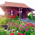 Bán nhà vườn 800m2 tại Phan Thiết, Bình Thuận 820 triệu - Ảnh thu nhỏ 1