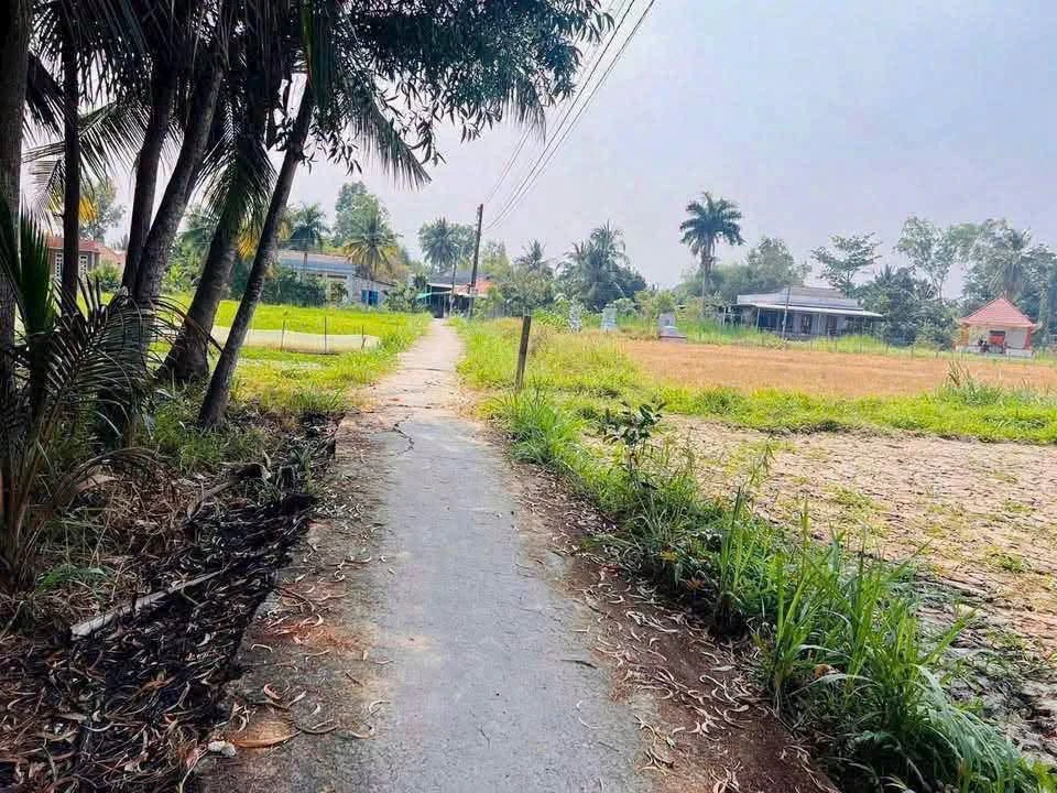 Bán đất vườn 544m² có sẵn ao cá, giá 680 triệu tại Phường Khánh Hậu, Tây Ninh - Ảnh 1