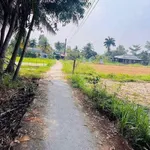 Bán đất vườn 544m² có sẵn ao cá, giá 680 triệu tại Phường Khánh Hậu, Tây Ninh - Ảnh thu nhỏ 1