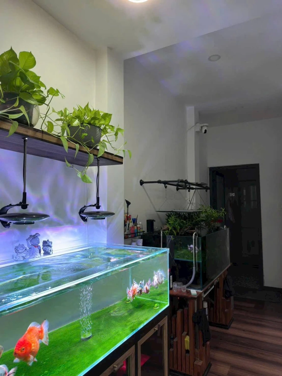 Bán nhà 1 trệt 1 lầu 90.6m2 Phan Thiết, Lâm Đồng 3.8 tỷ - Ảnh thu nhỏ 4