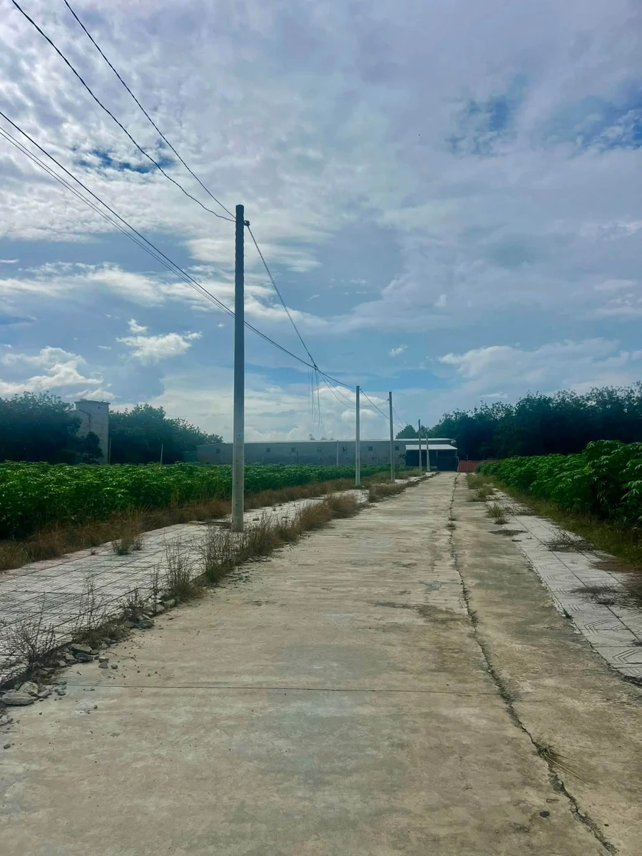 Bán đất nền 100m2 khu công nghiệp Becamex Bình Dương - Ảnh thu nhỏ 3