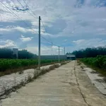 Bán đất nền 100m2 khu công nghiệp Becamex Bình Dương - Ảnh thu nhỏ 3
