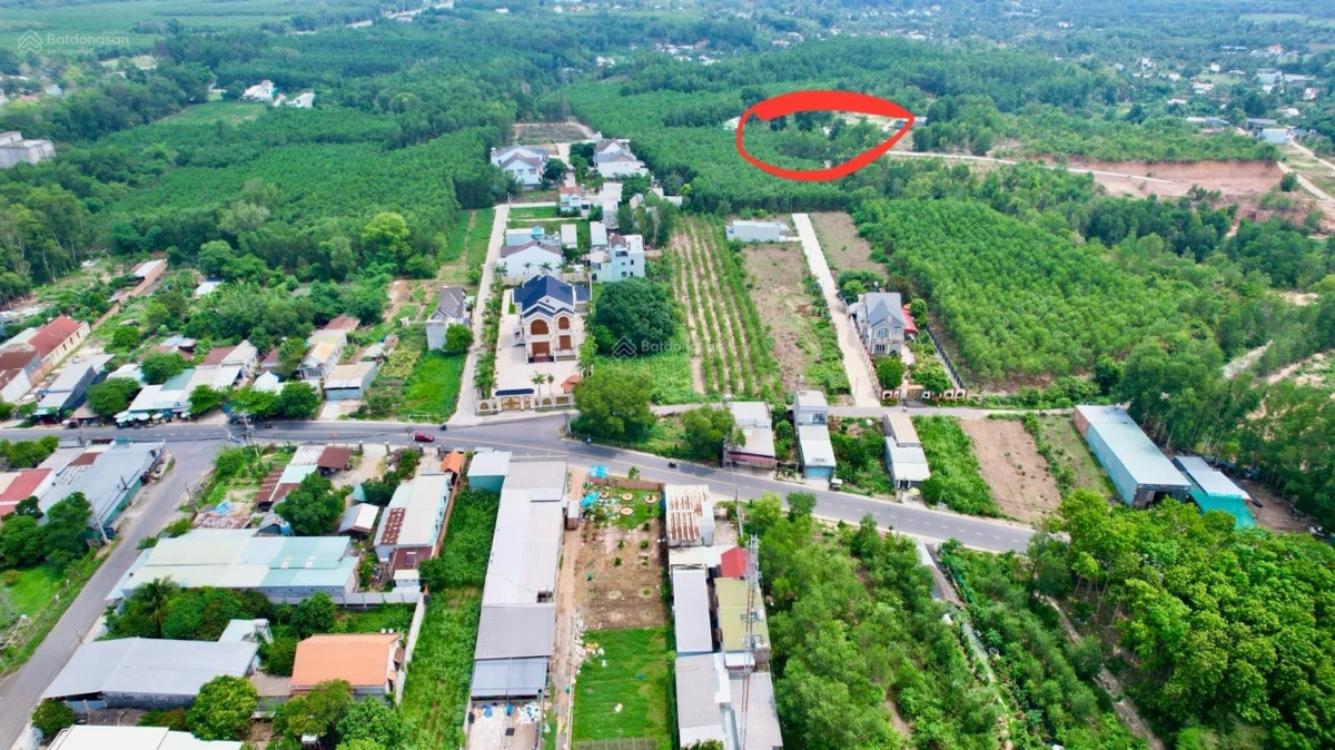 Cần bán đất trung tâm Nhơn Trạch có thổ cư, gần Vành Đai 3 và Cầu Cát Lái - Ảnh 1
