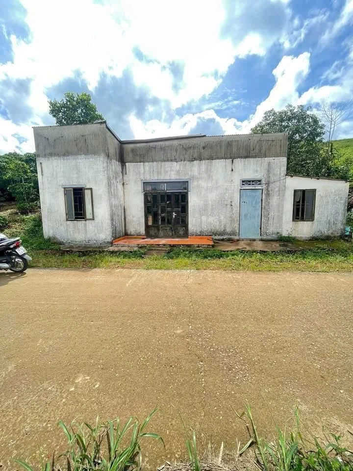 Bán đất 2713m² mặt tiền Tôn Thất Thuyết, Bảo Lộc - Ảnh 1