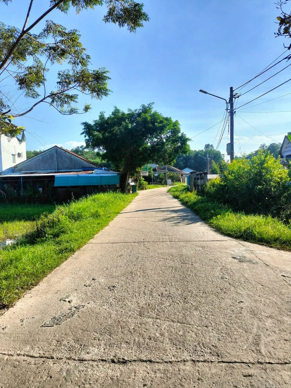 Bán đất vườn 1200m² Thăng Bình Bình Định nhỉnh 600 triệu