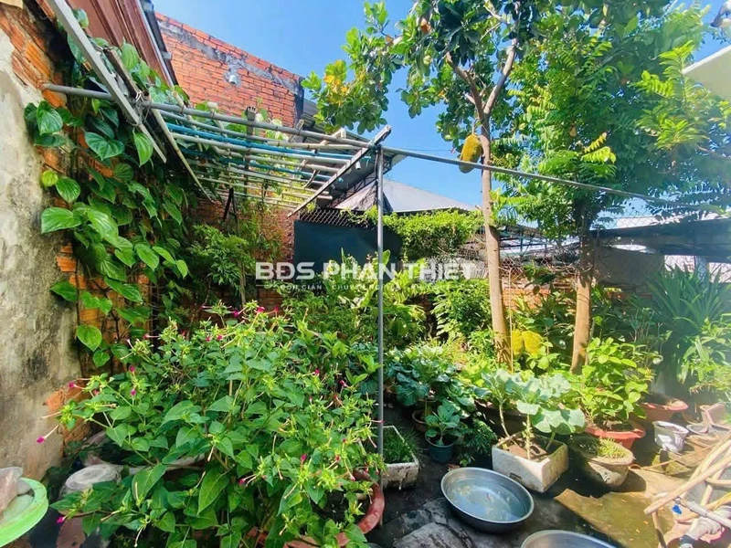Bán nhà mặt tiền Trần Quý Cáp, 182m², 6,5 tỷ