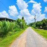 Bán đất 5x35m full thổ Phước Thạnh Tây Ninh 750 triệu - Ảnh thu nhỏ 1