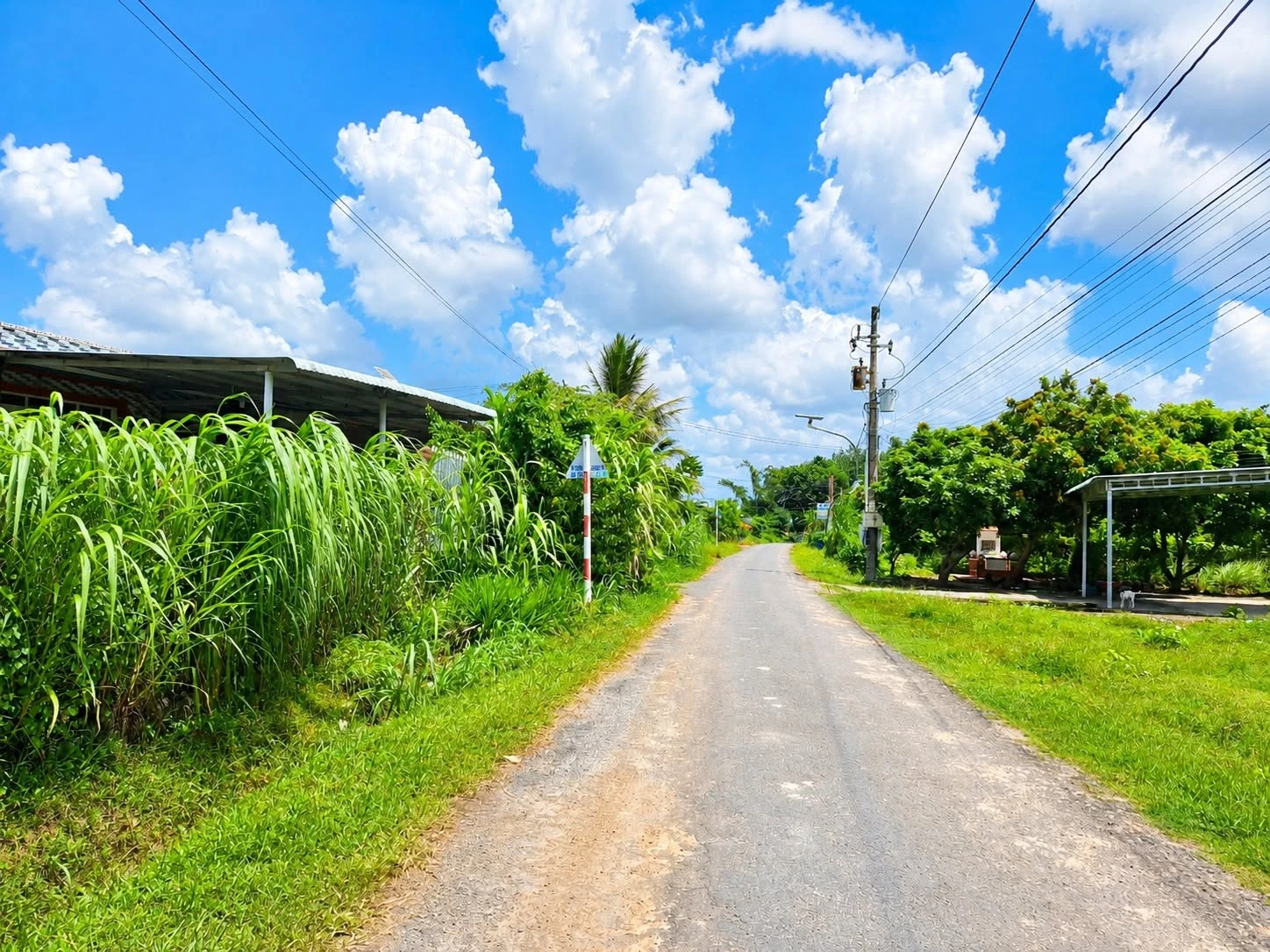 Bán đất 5x35m full thổ Phước Thạnh Tây Ninh 750 triệu - Ảnh 1