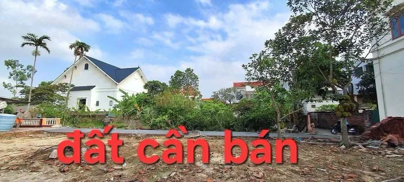 Bán đất Cẩm Giàng Hải Dương 68m² mặt tiền 4,6m