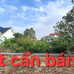 Bán đất Cẩm Giàng Hải Dương 68m² mặt tiền 4,6m - Ảnh thu nhỏ 1