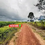 Bán đất 5000m² đường 32 Minh Thành sát KCN Becamex - Ảnh thu nhỏ 2