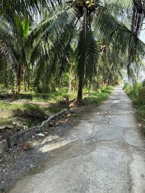Bán đất nền 160m² xã Phú Nhuận, Bến Tre