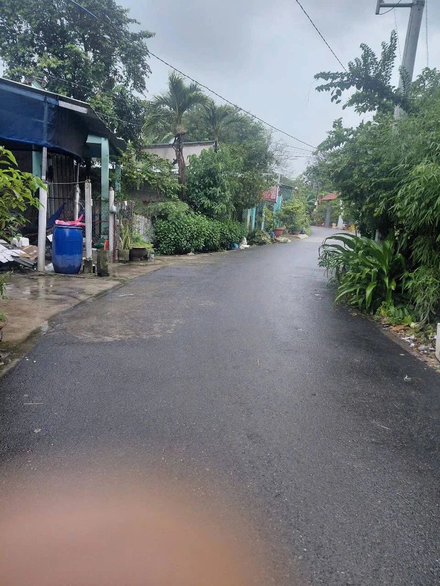 Bán đất 2 mặt tiền 780m² Phú An, Bình Chánh 3 tỷ - Ảnh thu nhỏ 3