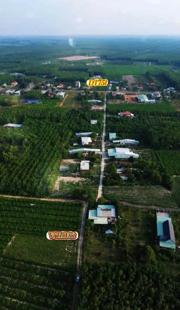Bán đất mặt tiền Nhánh DT751, Chơn Thành, 279m2, 350 triệu - Ảnh thu nhỏ 3