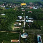 Bán đất mặt tiền Nhánh DT751, Chơn Thành, 279m2, 350 triệu - Ảnh thu nhỏ 3