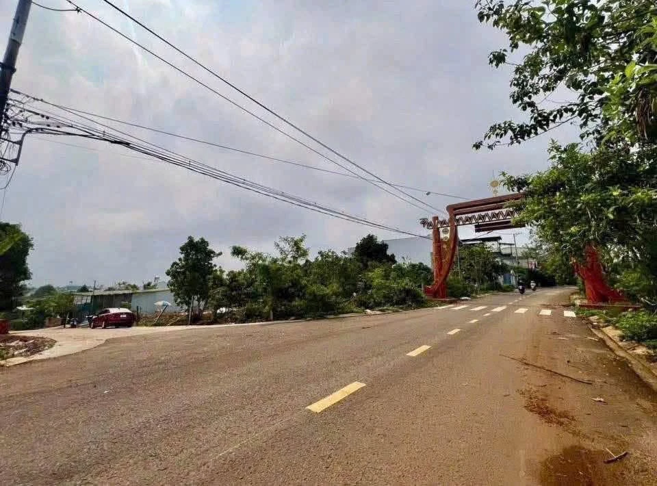 Bán đất hẻm ô tô Bùi Dự, P. Pleiku, 175m², 1 tỷ - Ảnh thu nhỏ 2