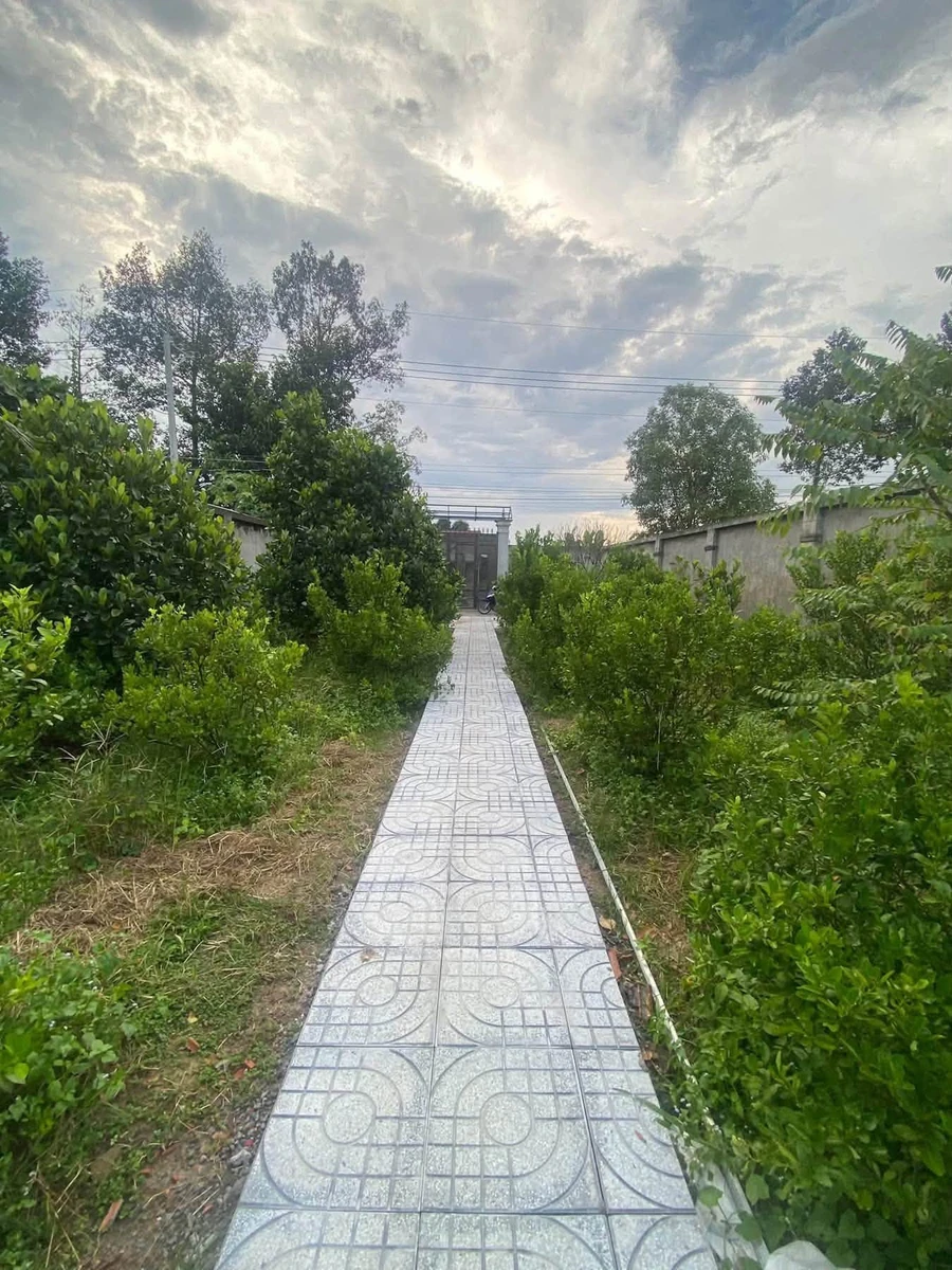 Bán nhà vườn 500m² Giang Điền Trảng Bom 1,8 tỷ - Ảnh thu nhỏ 2
