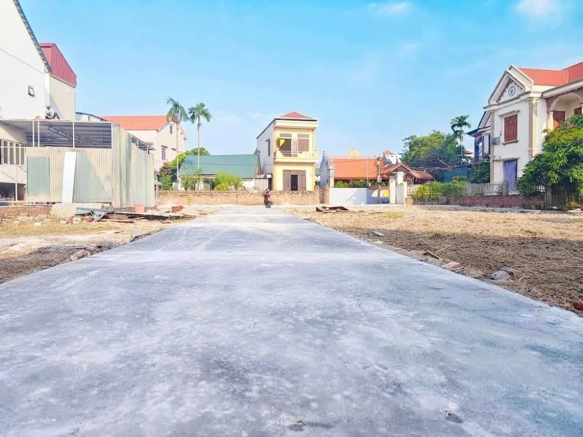 Bán đất nền 54-63m2 giáp Thành Đông Metropolis, Hải Dương - Ảnh thu nhỏ 2