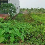 Bán lô đất thổ cư 133 m2 Mỷ An, Thủ Thừa, Long An - Ảnh thu nhỏ 5
