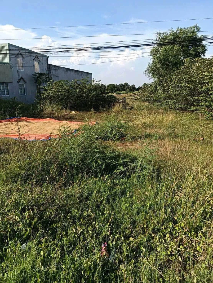 Bán đất mặt tiền quốc lộ 62 Long An 400m² - Ảnh thu nhỏ 2