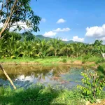 Bán đất 6.000m² có thổ cư Bình Điền Huế - Ảnh thu nhỏ 4