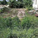 Bán đất 2 mặt tiền Xã Phan Tây Ninh 120m² 450 triệu - Ảnh thu nhỏ 2