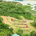 Bán đất 4,6 sào gần sông Sêrêpôk, Hoà Phú, Đắk Lắk - Ảnh thu nhỏ 2