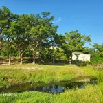 Bán đất ven biển Mũi Dinh Khánh Hòa 3000m2 600 triệu - Ảnh thu nhỏ 2