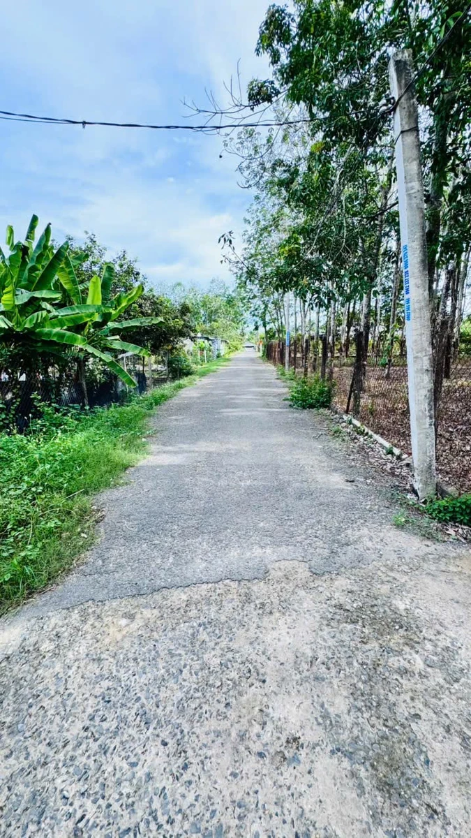 Bán đất thổ cư 5x26m Gò Dầu Tây Ninh 350 triệu - Ảnh thu nhỏ 3