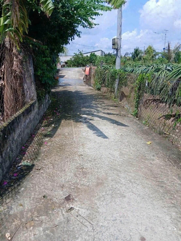 Bán lô đất 155m² Tầm Vu, Long An 600 triệu
