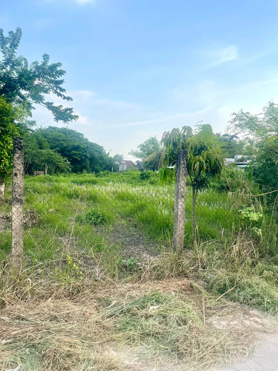 Bán đất thổ cư 541m² SHR Tây Ninh 2,4 tỷ - Ảnh thu nhỏ 2