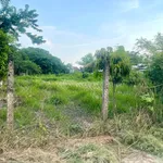 Bán đất thổ cư 541m² SHR Tây Ninh 2,4 tỷ - Ảnh thu nhỏ 2