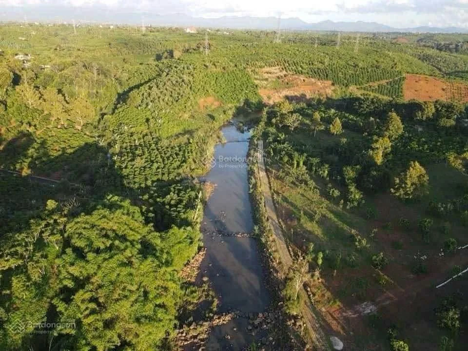 Bán đất nền 9.600m² ven sông Đại Nga Bảo Lộc 16 tỷ - Ảnh thu nhỏ 3