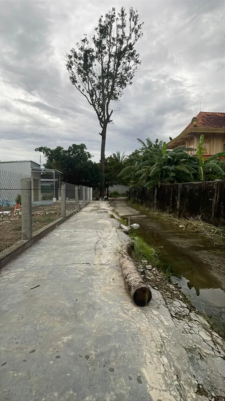 Bán nhà mới 90m², 2PN ở Tân Thành, Bến Tre - 1 tỷ 190 triệu 65ty
