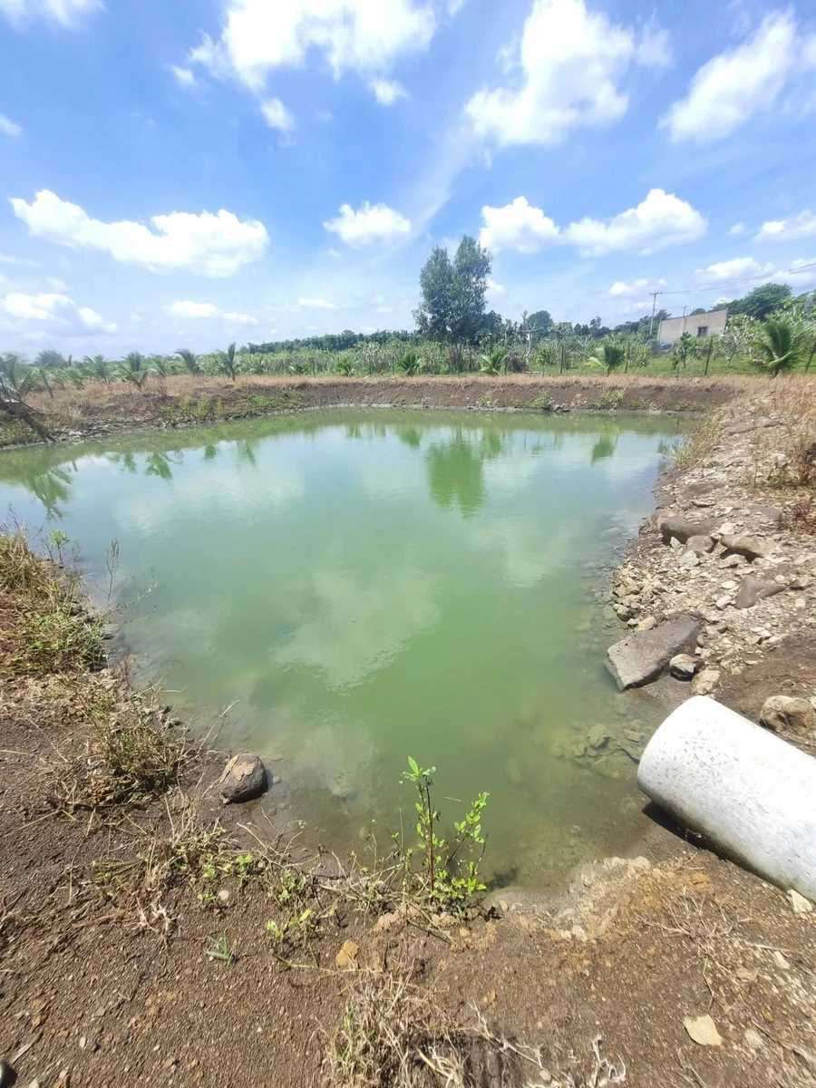 Bán đất 1.000m² giáp ranh Bảo Vinh, mặt tiền 37m - Ảnh thu nhỏ 4
