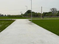 Bán gấp đất tại Xã Nam Thịnh, Huyện Tiền Hải, Thái Bình, 550 triệu, 120 m2 - Ảnh thu nhỏ 4
