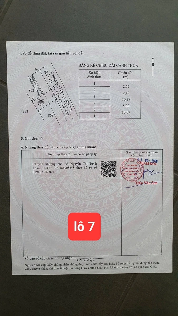 Bán 54m² đất thổ mặt tiền Bình Trinh Đông, Tân Trụ - Ảnh thu nhỏ 2