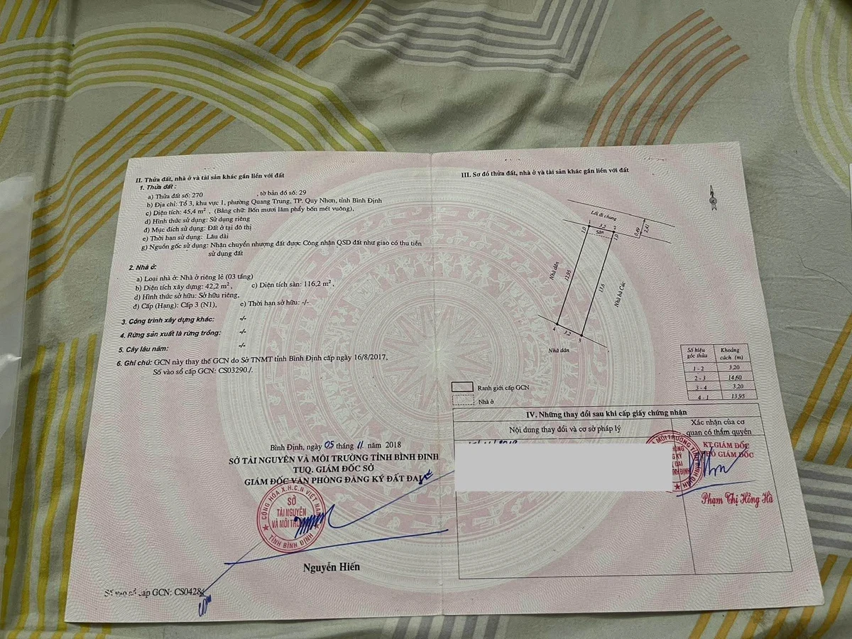 Bán nhà 3 tầng hẻm 45m2 đường Thanh Niên - Ảnh thu nhỏ 2