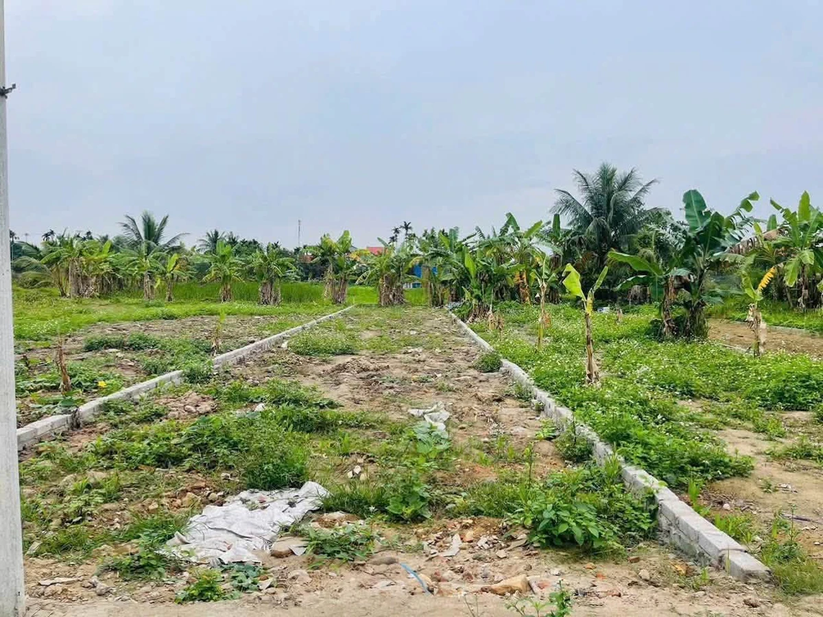 Bán lô đất 191,9m2 MT 5,5m Kiến Minh, Hải Phòng - Ảnh thu nhỏ 5