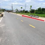 Bán đất lúa mặt tiền HL5 Diên Điền 765m2 - Ảnh thu nhỏ 1
