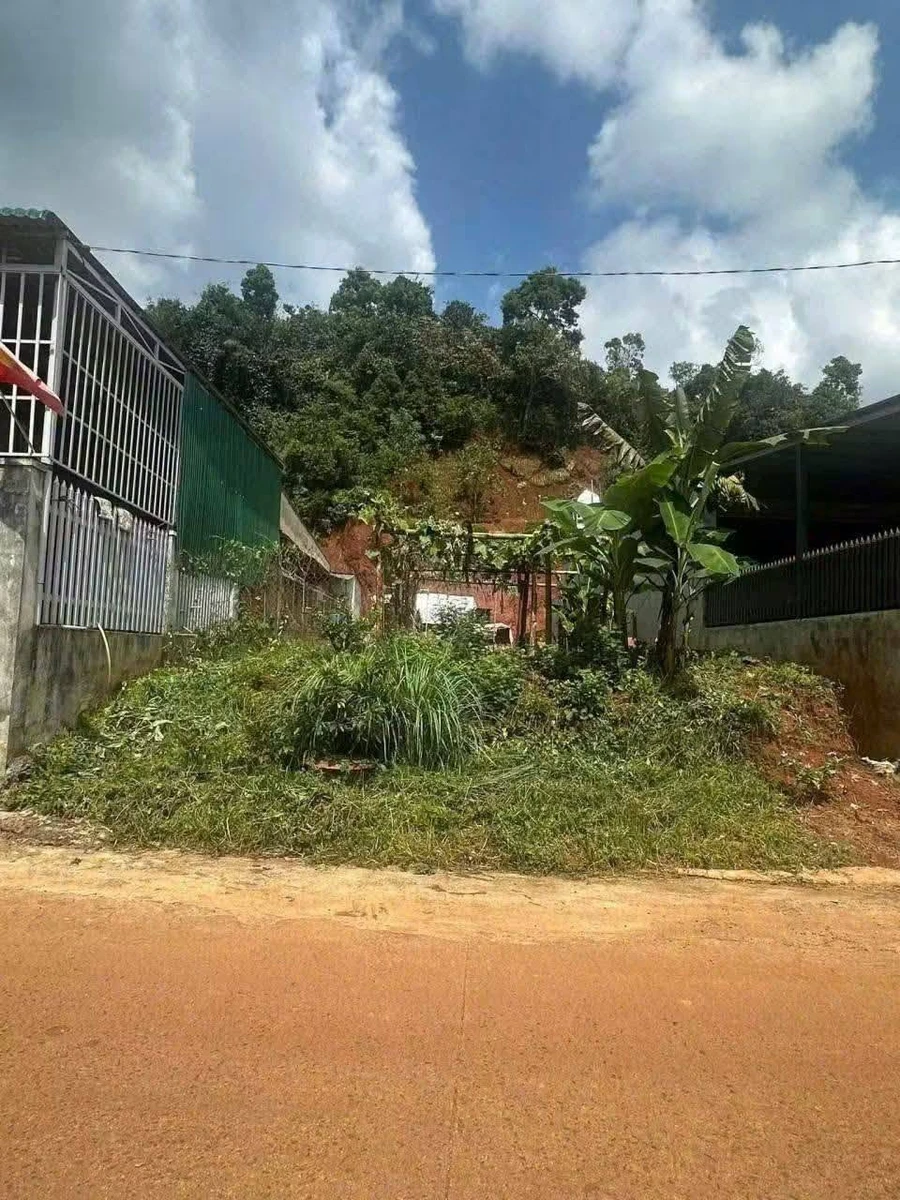 Bán lô đất 100m² mặt tiền Dương Đình, Quận 3, giá 1,25 tỷ - Ảnh thu nhỏ 2