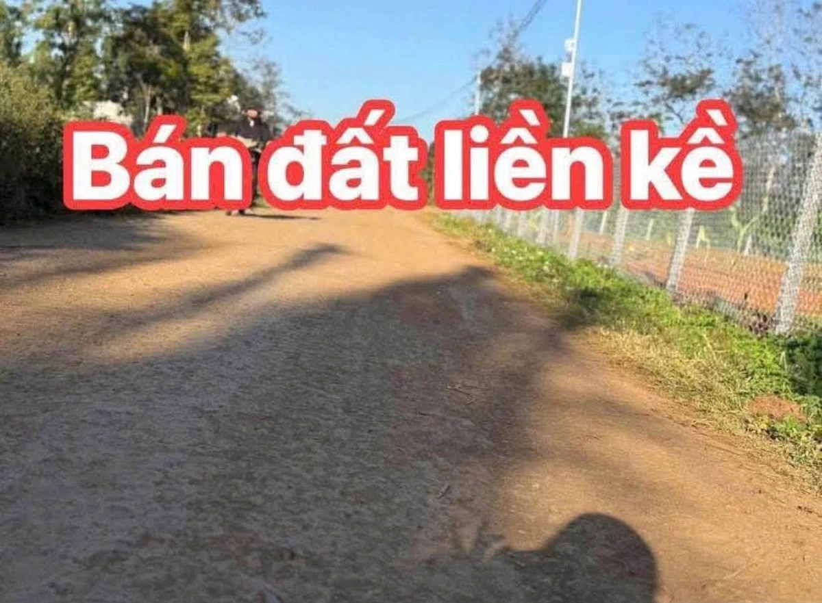 Bán đất thổ cư Bình Dương 137.5m2 giá 295 triệu - Ảnh thu nhỏ 3
