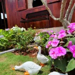Bán căn nhà mới xây 2PN, có sân vườn rộng sân BBQ full nội thất chỉ xách vali vào ở 999tr còn 899tr - Ảnh thu nhỏ 32