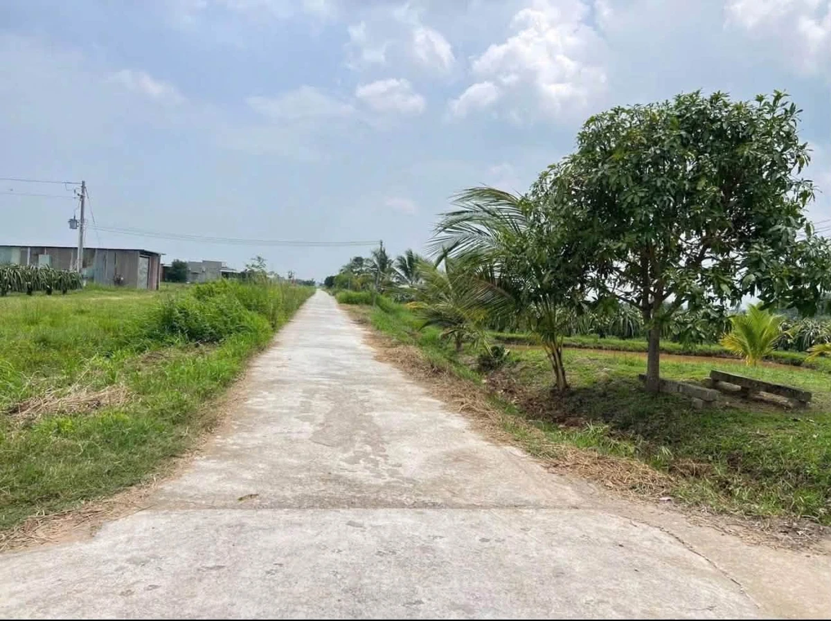 Bán lô đất vườn 7200m² thổ cư gần ngã tư Bảy Hải Hàm Liêm - Ảnh thu nhỏ 3