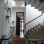 Bán nhà mặt tiền Thái Thị Bôi 4 tầng 310m² hơn 10 tỷ - Ảnh thu nhỏ 4