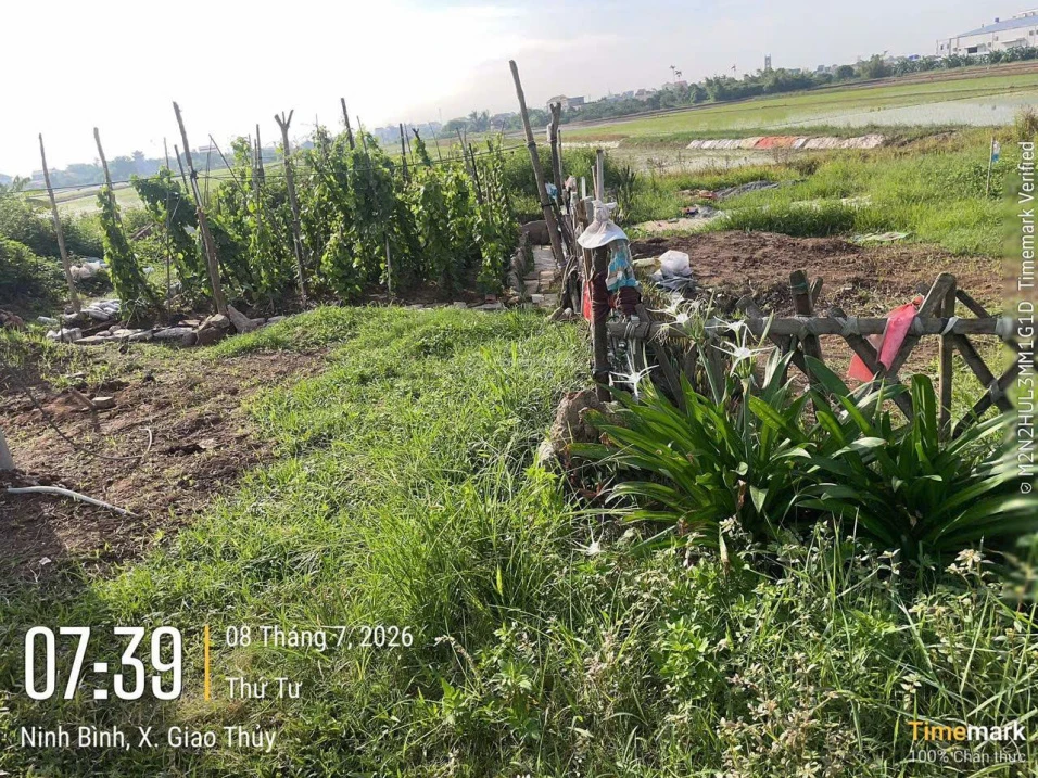 Chính chủ bán 94m2 đất thổ cư Hoành Sơn, Giao Thủy, Nam Định hướng Tây Nam - Ảnh thu nhỏ 4