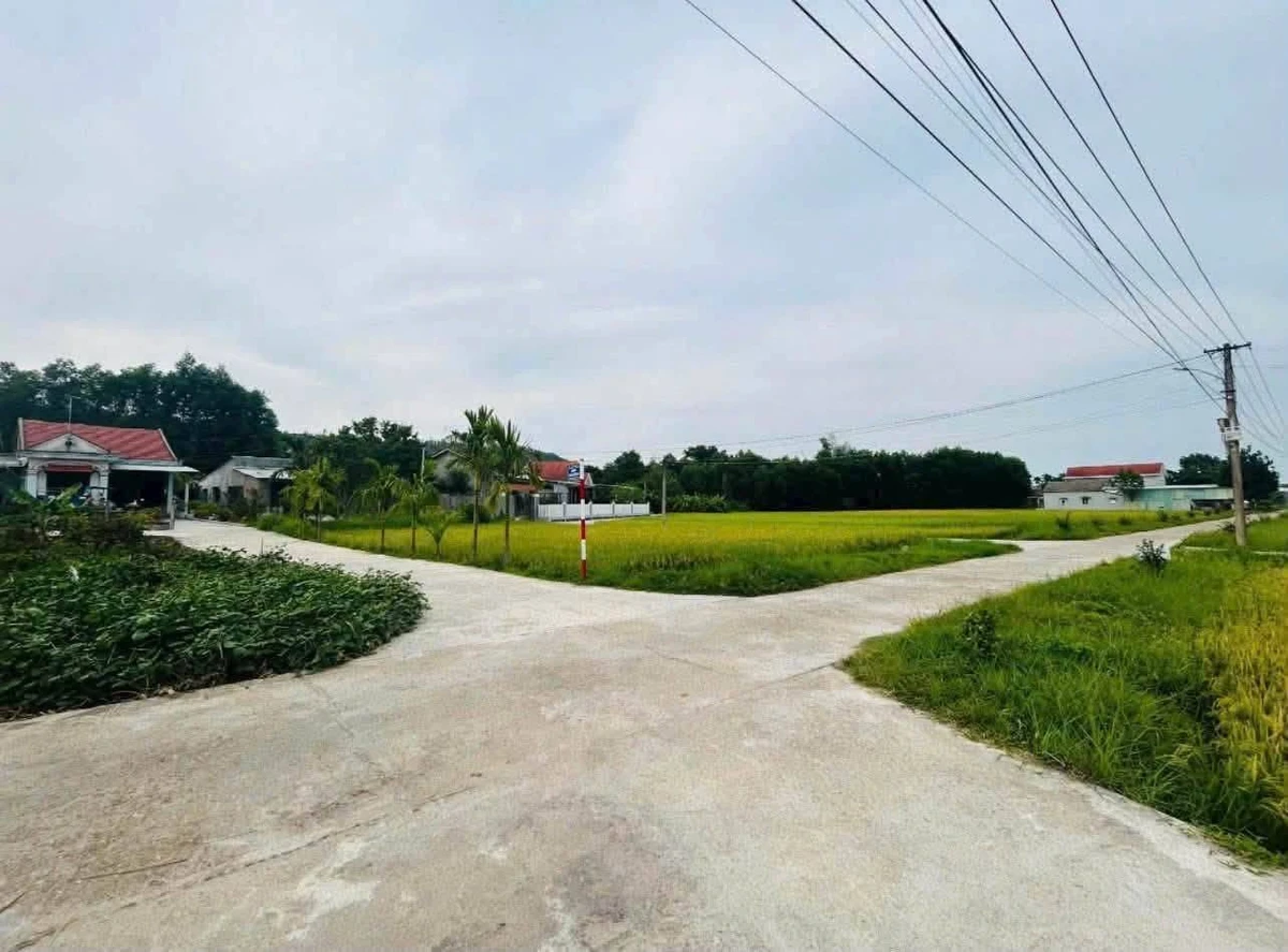 Biệt thự view cánh đồng 900m² Hoà Vang Đà Nẵng 5 tỷ - Ảnh thu nhỏ 2